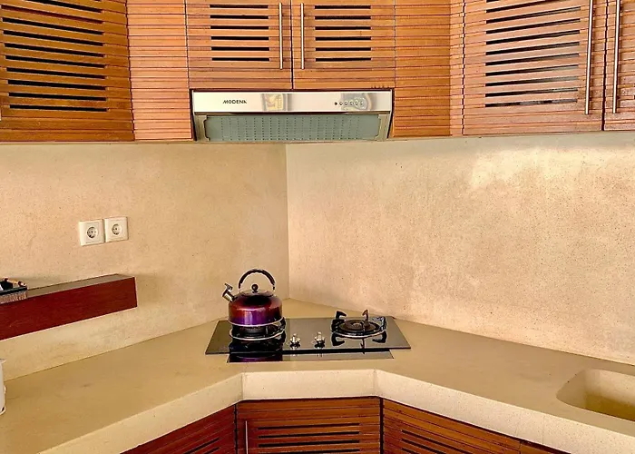 Alizee *